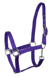 kantar-api-eco-fiolet-pony