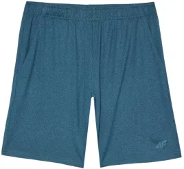 spodenki-treningowe-regular-szybkoschnace-4f-meskie-r-m