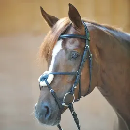 oglowie-carlos-meksykanskie-kavalkade-pony