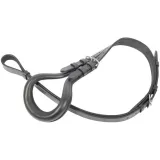 podogonie-star-shetty