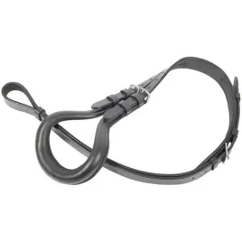 podogonie-star-shetty