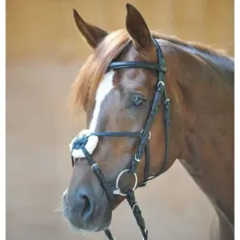 oglowie-kavalkade-carlos-cob-czarne