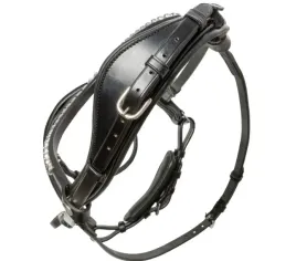 oglowie-skorzane-dla-konia-kavalkade-ayana-szwedzki-nachrapnik-kombinowany