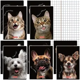 zeszyt-a5-kratka-60-kartek-margines-herlitz-crazy-animals-zwierzeta-10szt