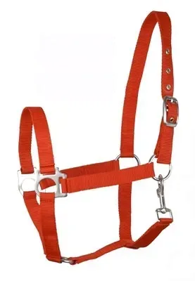 kantar-api-eco-foal-0