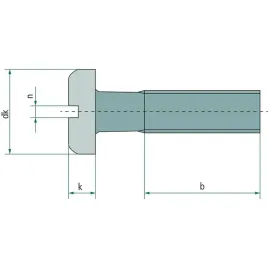 sruba-z-lbem-plaskim-din-85-m5-5-x-10-mm-200-szt