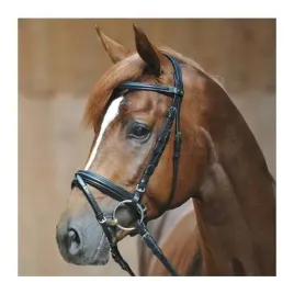 oglowie-kavalkade-ravenna-czarne-pony