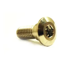 sruba-jmp-do-tarcz-hamulcowych-m8x20-mm-gwint-125-ze-stali-nierdzewnej-1