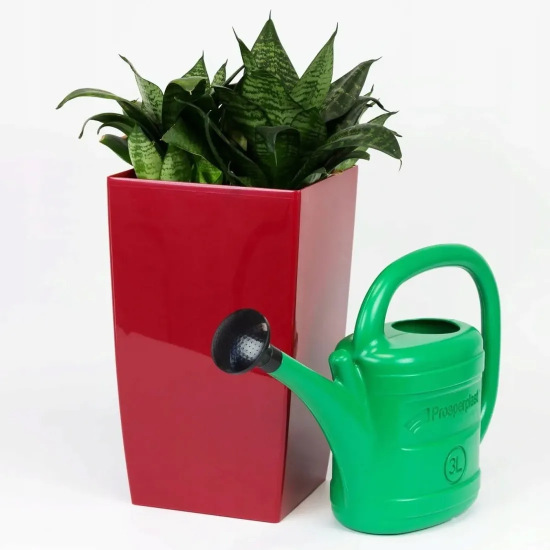 konewka-spring-3l-zielona