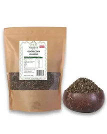 ogorecznik-lekarski-nasiona-miododajne-do-siewu-polskie-100g-naturini