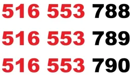 zloty-numer-516-553-788-516-553-789-516-553-790-starter-orange