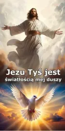 boze-cialo-baner-na-oltarz-oltarze-dekoracja-obraz-plakat-na-wybor-wzorow