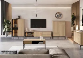zestaw-mebli-do-salonu-dab-linearny-nowoczesny-design