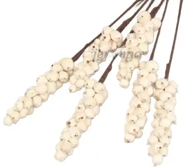 shola-berrys-white-jagoda-25-cm-biale-jagodki-6-sztuk-szola-kwiatki-susz