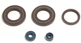 komplet-uszczelniaczy-silnikowych-athena-do-husqvarna-te-350-410-510-610
