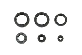 komplet-uszczelniaczy-silnikowych-honda-trx-400-fa-fga-2004-2007-athena