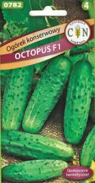 ogorek-octopus-odporna-plenna-odmiana-konserwowy-ogorki-oktopusy-20-sztuk