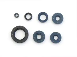 zestaw-uszczelniaczy-silnikowych-bmw-athena-f650-gs-99-08-g650-gs-x