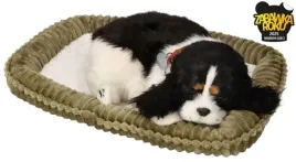 zaadoptuj-mnie-szczeniaczek-oddychajacy-cocker-spaniel-perfect-petzzz