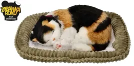 zaadoptuj-mnie-kociak-oddychajacy-trojkolorowy-perfect-petzzz