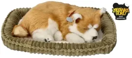 szczeniaczek-oddychajacy-do-adopcji-shiba-perfect-petzzz