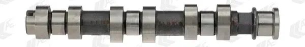 walek-rozrzadu-cam809-aeg