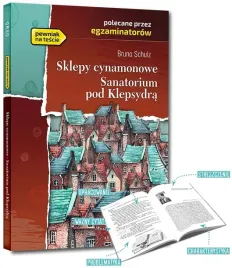 pani-bovary-lektura-z-opracowaniem-i-streszczeniem-greg-gustaw-flaubert
