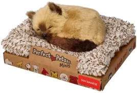 perfect-petzzz-maly-kociak-syjamski-13-cm