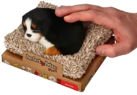 perfect-petzzz-maly-bernenczyk-na-legowisku-13-cm