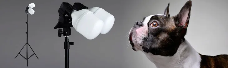 lampa-studyjna-2x-led-100-kod-producenta-cggs-112