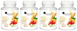 suplement-diety-aliness-witamina-c-1000-mg-plus-100-kapsulek