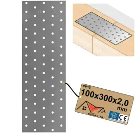 plytka-perforowana-plaskownik-lacznik-ciesielski-plaski-100x300x20-mm