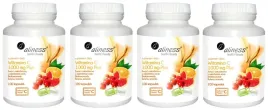 aliness-witamina-c-1000mg-plus-lacznie-400-kapsulek-odpornosc-uklad-nerwowy