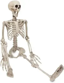 ruchomy-szkielet-na-halloween-90-cm-realistyczny-anatomiczny-model