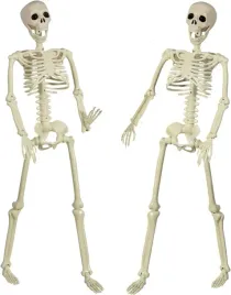 halloweenowy-plastikowy-szkielet-90-cm-z-ruchomymi-przegubami-2-szt