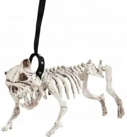 szkielet-na-halloween-pies-z-lina-45-cm