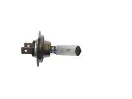 zarowka-h7-12v-55w-px26d-ece-nowa-srl