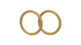 87635382-o-ring-case-new-holland-cnh-oryginal-numer-katalogowy-oryginalu-87635382