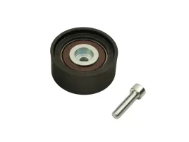 napinacz-rolka-paska-micro-v-master-98-2-8-dci