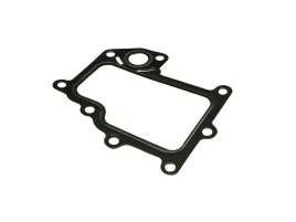 uszczelka-zaworu-egr-iveco-daily-06-3-0jtd