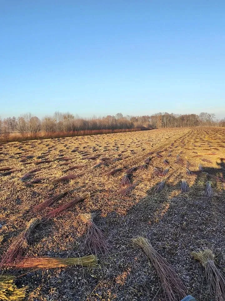 mata-wiklinowa-180x5-maty-wiklinowe-wiklina-premium-producent-polska