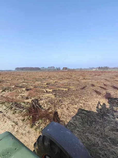 mata-wiklinowa-180cmx5m-maty-wiklinowe-wiklina-premium-producent-polska-material-dominujacy-wiklina