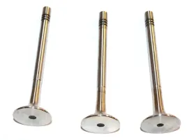 zawor-silnika-wydech-fiat-brava-bravo-95-1-9-td-brava-o