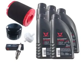 zestaw-serwisowy-z-filtrem-zam-737-05066-mtd-2cyl