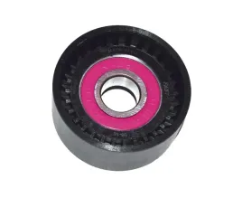 napinacz-rolka-paska-micro-v-master-98-2-5-dci