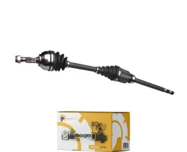 polos-fiat-scudo-07-prawy-2-0jtd