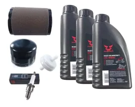 zestaw-serwisowy-silnika-mtd-cubcadet-lt2