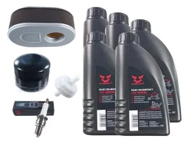 zestaw-serwisowy-z-filtrem-zam-737-05145-mtd-2cyl