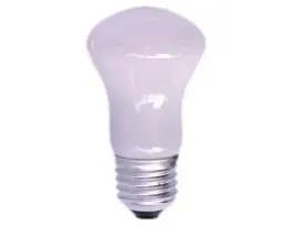 zarowka-ozdobna-tradycijna-m50-100w-e27-mleczna