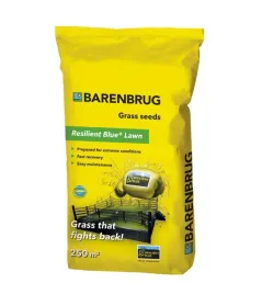 trawa-barenbrug-samozageszczajaca-resilient-blue-5-kg-odporna-na-deptanie